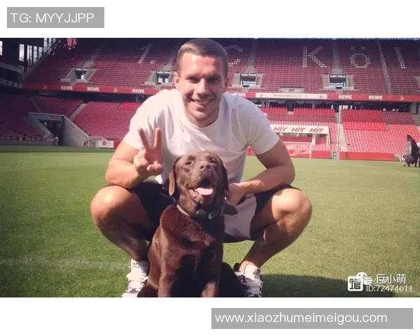 足球明星化身QQ头像潮流风尚 引领时尚与运动完美结合的视觉体验