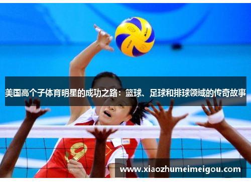 美国高个子体育明星的成功之路：篮球、足球和排球领域的传奇故事