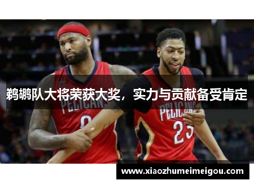 鹈鹕队大将荣获大奖，实力与贡献备受肯定