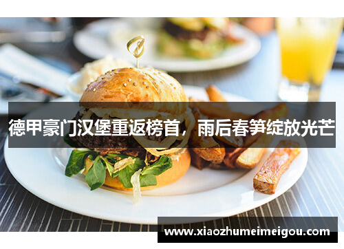 德甲豪门汉堡重返榜首，雨后春笋绽放光芒